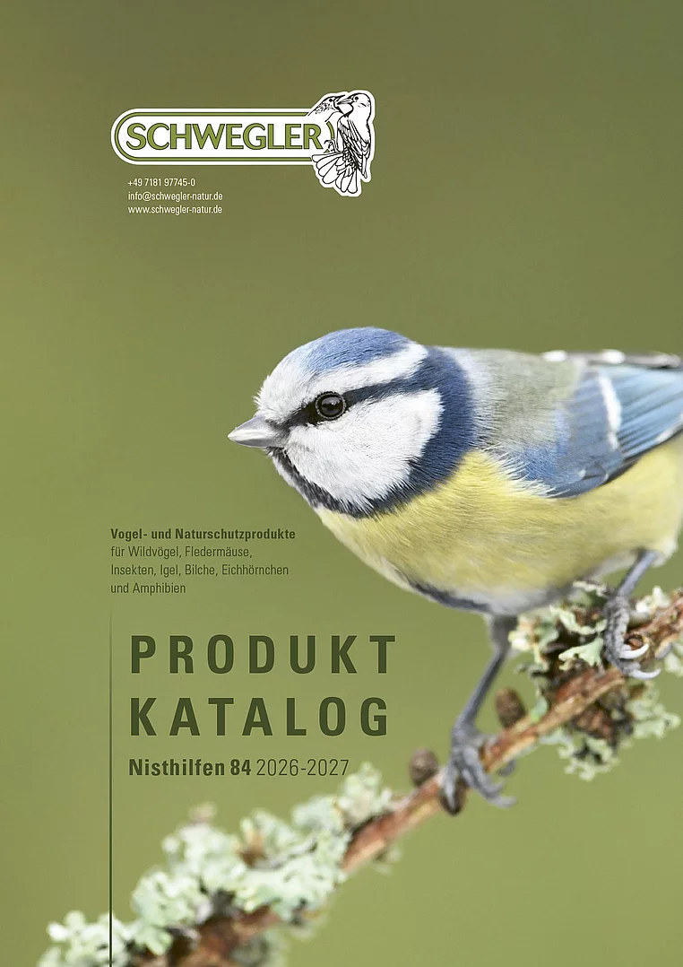 Titelseite Produktkatalog Nisthilfen: Blaumeise auf einem Ast