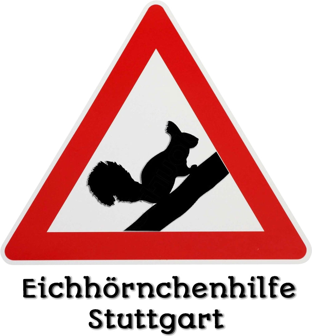 Eichhörnchenhilfe Stuttgart